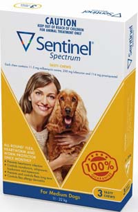 �Z���`�l�����^���p