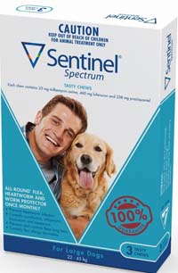 �Z���`�l����^���p